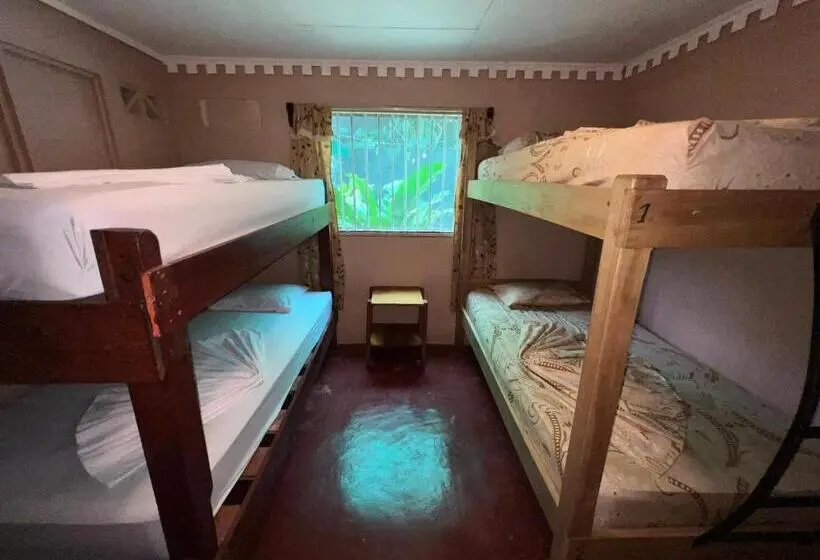 تختخواب در اتاق مشترک, Pura Vida Hostel