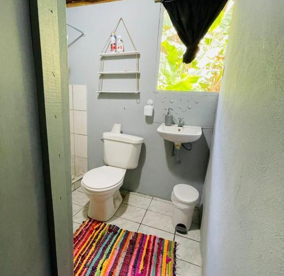 آپارتمان 1 خوابه, Pura Vida Hostel