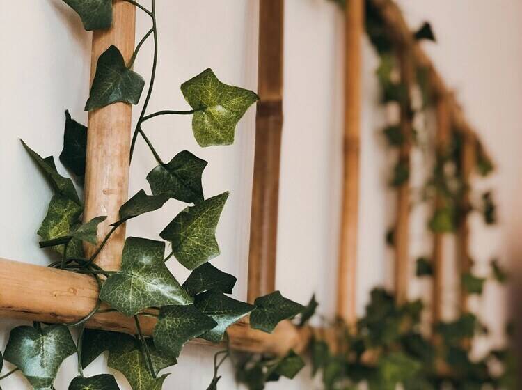 家庭间, Villa Galicia