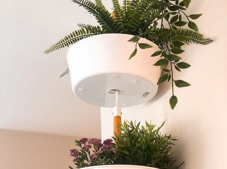 四人标准间, Villa Galicia