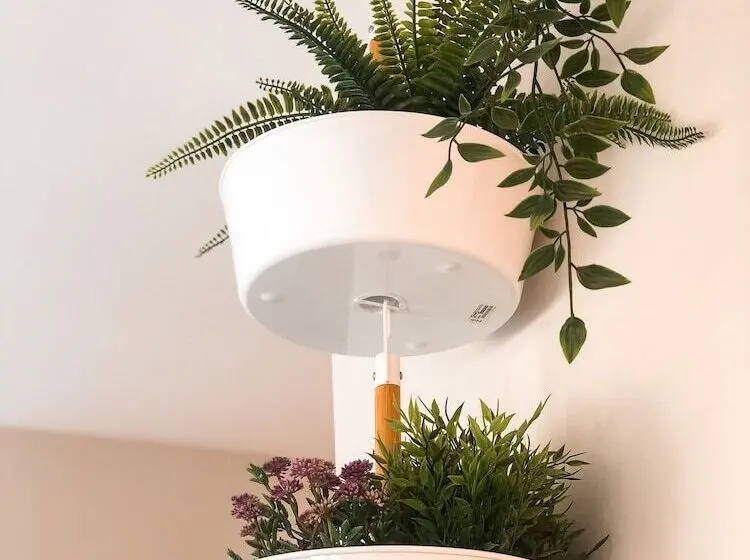 Standard Neljän Hengen Huone, Villa Galicia