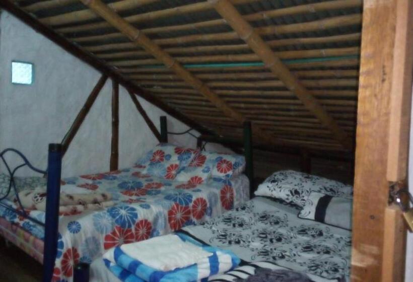 スタンダードルーム, Casa Annunakis