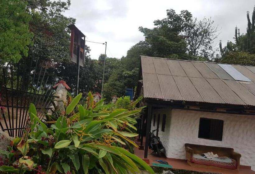 اتاق استاندارد, Casa Annunakis