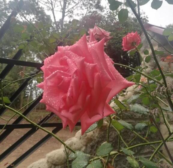 スタンダードルーム, Casa Annunakis