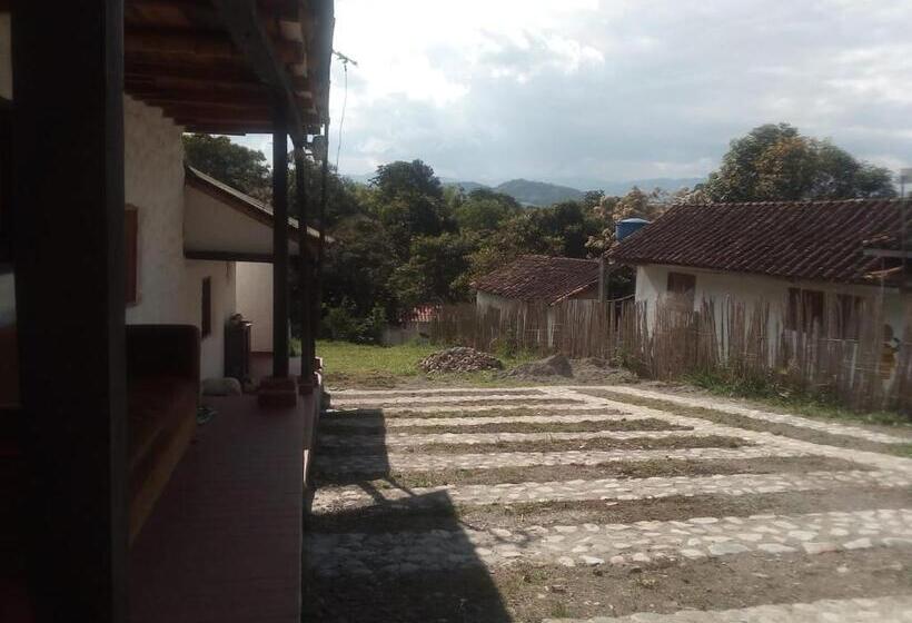 スタンダードルーム, Casa Annunakis