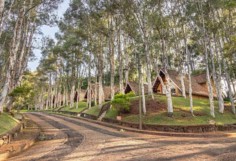 Standart Oda, Mirágua Refugios Pousada