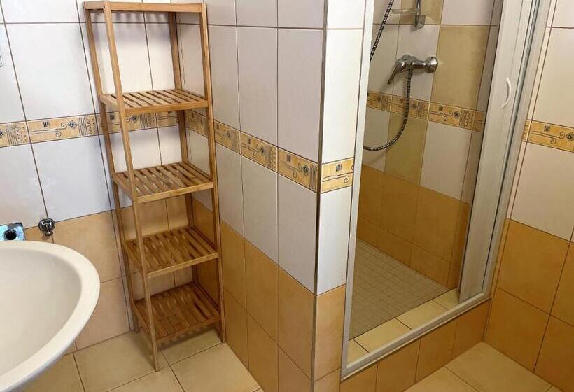 Апартаменты Deluxe 1 Спальня, Tatransky Dom Sk