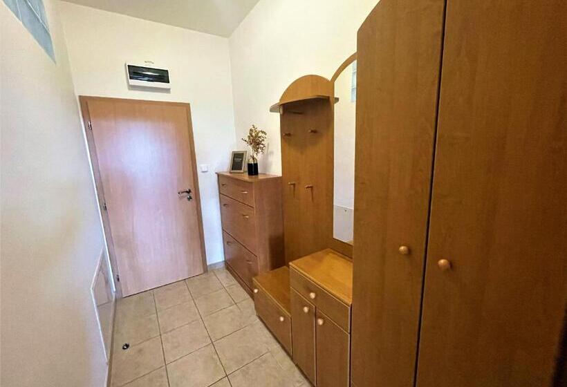 １ベッドルームのデラックスアパートメント, Tatransky Dom Sk