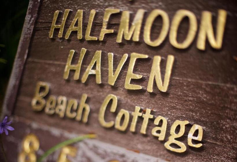 １ベッドルームハウス, Halfmoon Haven Beach Cottage Or Oceanview Suite