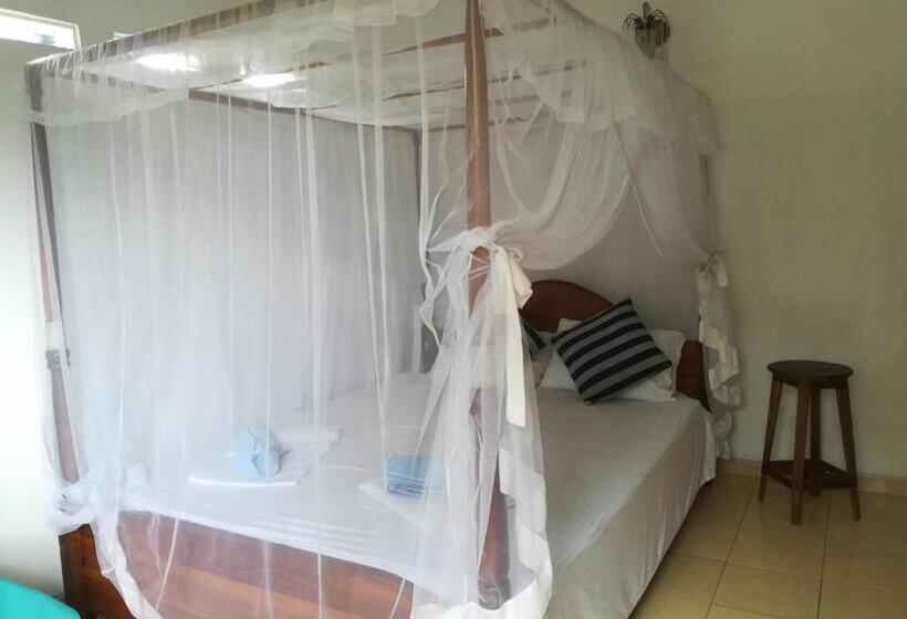 Habitació Estàndard, Sandara