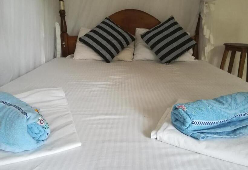 Habitació Estàndard, Sandara