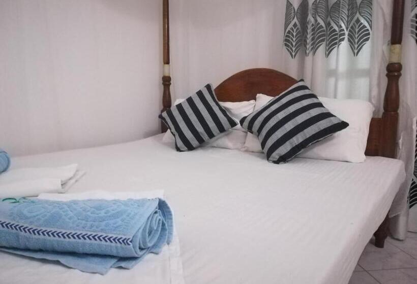 Habitació Estàndard, Sandara