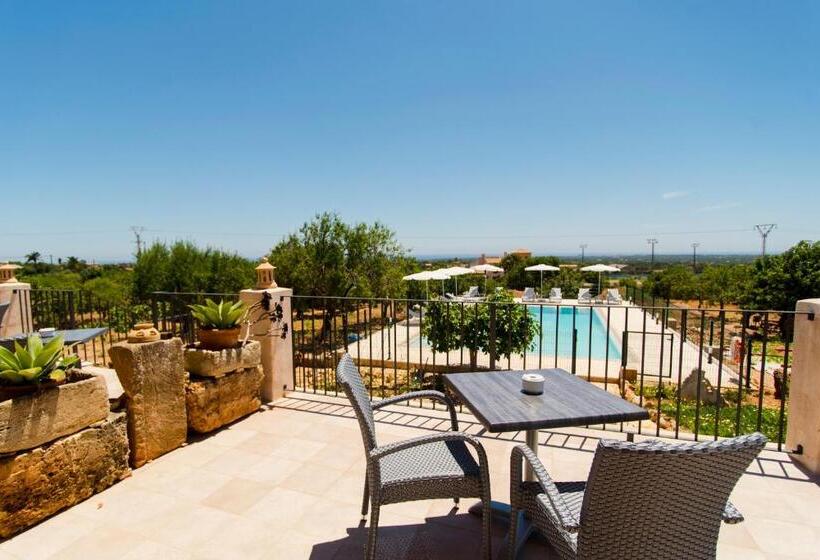 수피리어 룸, Agroturismo Sa Marina