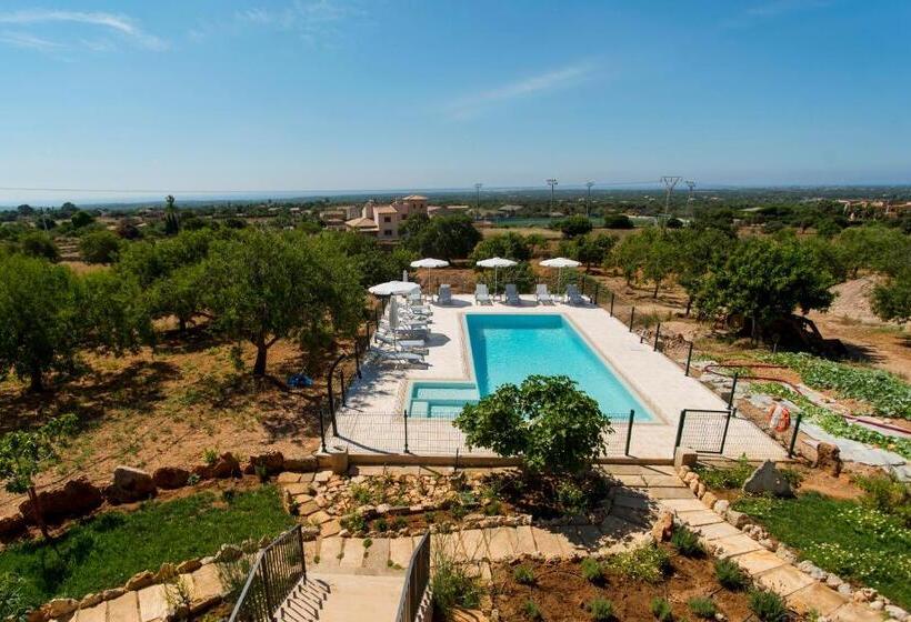 수피리어 룸, Agroturismo Sa Marina