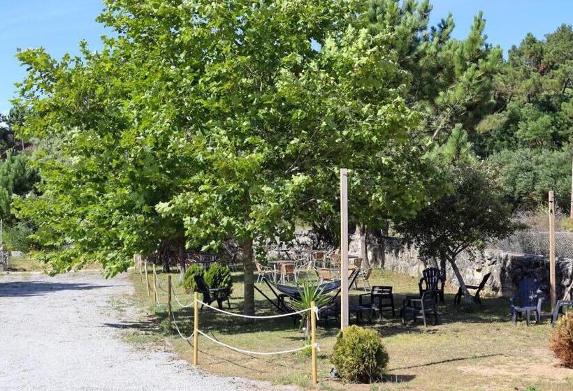 استودیوی استاندارد, Casal Do Crego