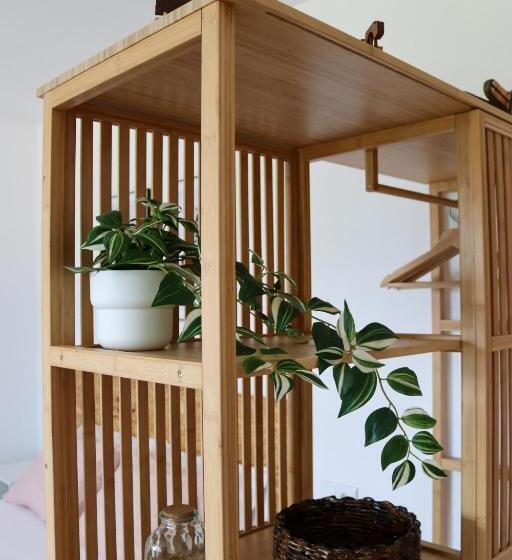 استودیوی استاندارد, Casal Do Crego