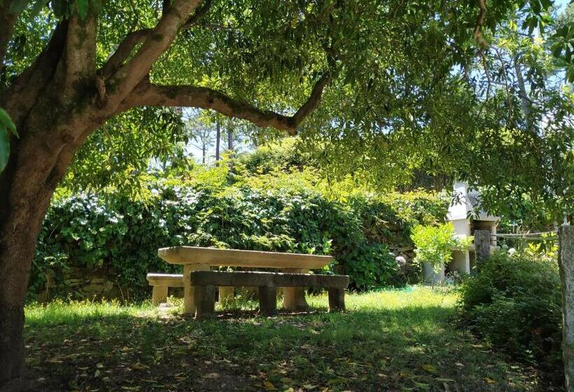 آپارتمان 1 خوابه, Casal Do Crego