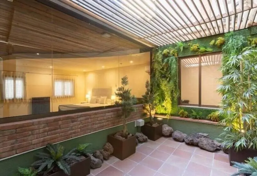 آپارتمان سوپریور 1 خوابه, Apartamentos Dv