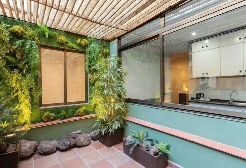 آپارتمان سوپریور 1 خوابه, Apartamentos Dv