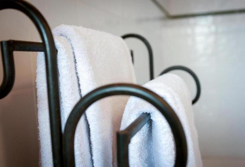 اتاق استاندارد با تراس, Ecoverode Hotel Emblemático Vegetariano Vegano