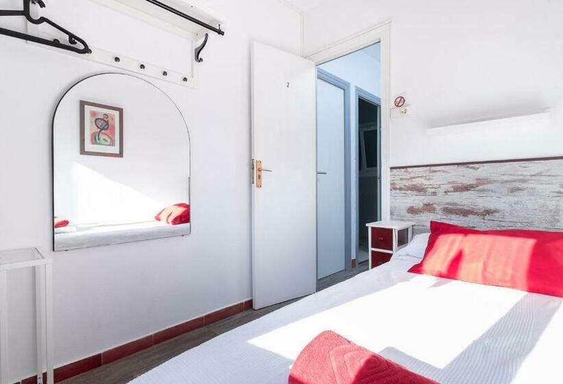 标准单人间, Fonda Chavarria