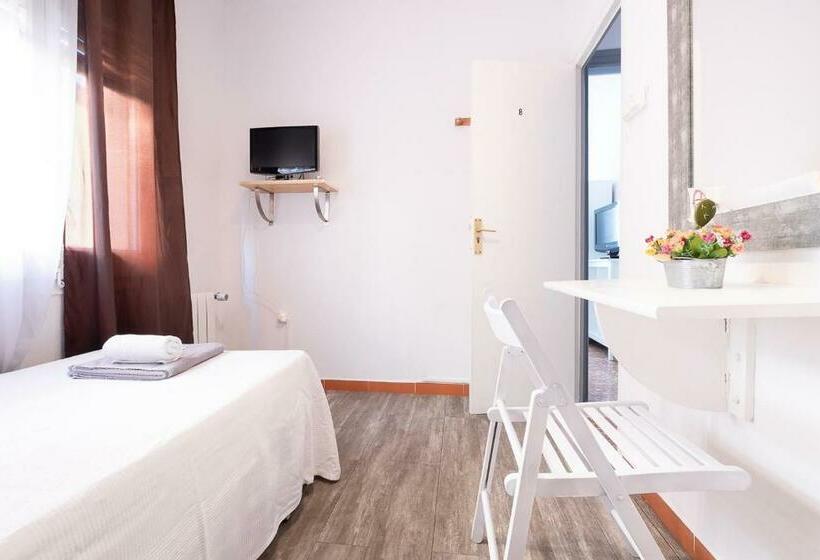 标准单人间, Fonda Chavarria