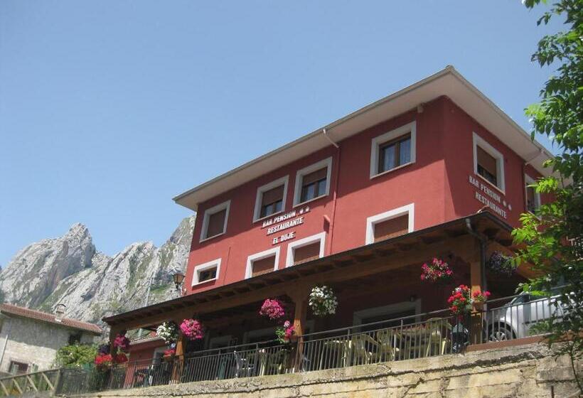 غرفة قياسية, Hostal El Duje