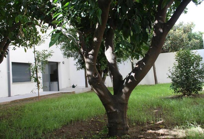 テラス付きスタンダードルーム, Residencia Mayol - Adults Only