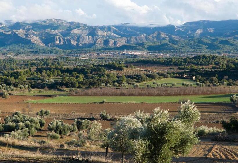 标准间, Hostal Can Barrina