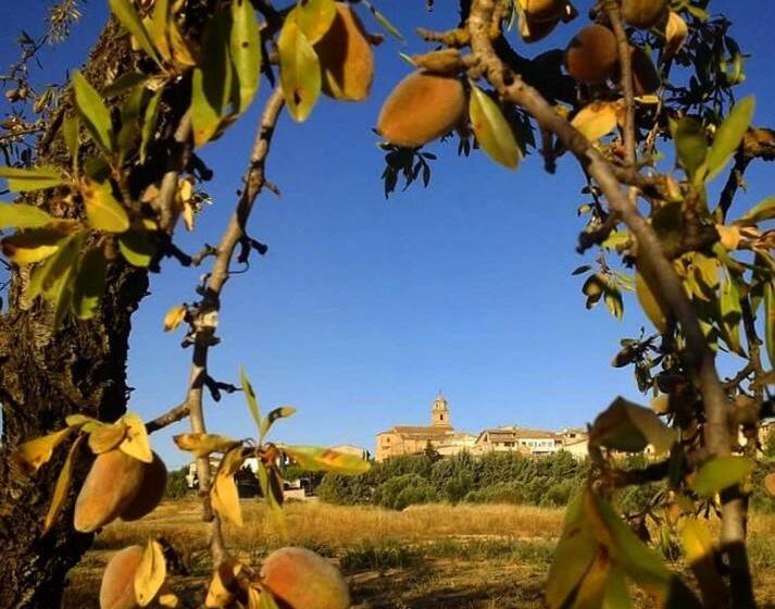 标准间, Hostal Can Barrina