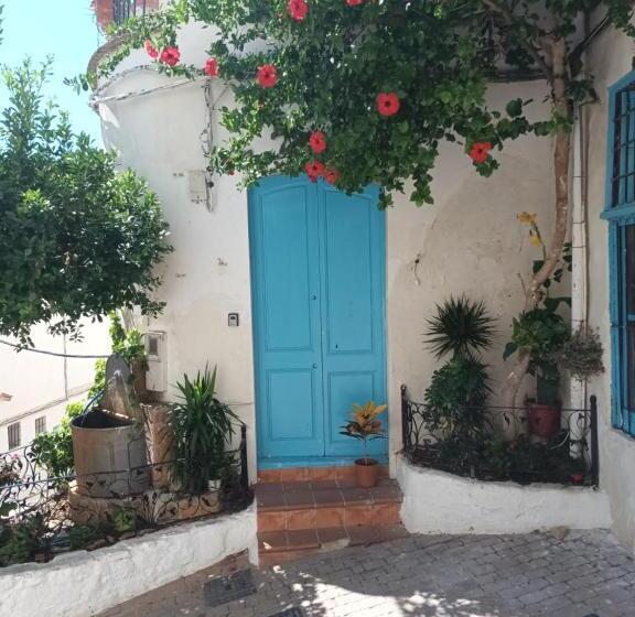 공동 객실, Pension El Torreon