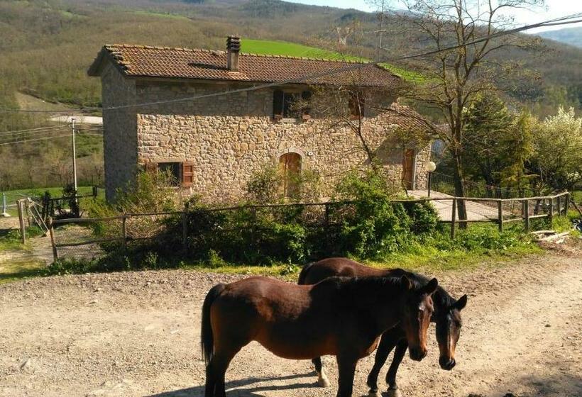 침실 2개 아파트, La Cartiera Dei Benandanti