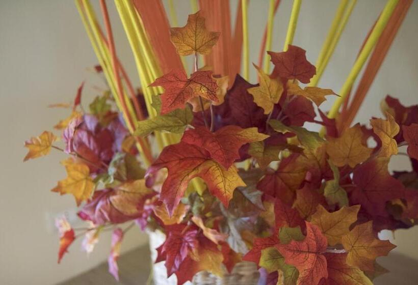 خانه 3 خوابه, Il Tremarino