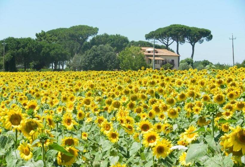 Апартаменты 1 Спальня, Boschetto Del Lago