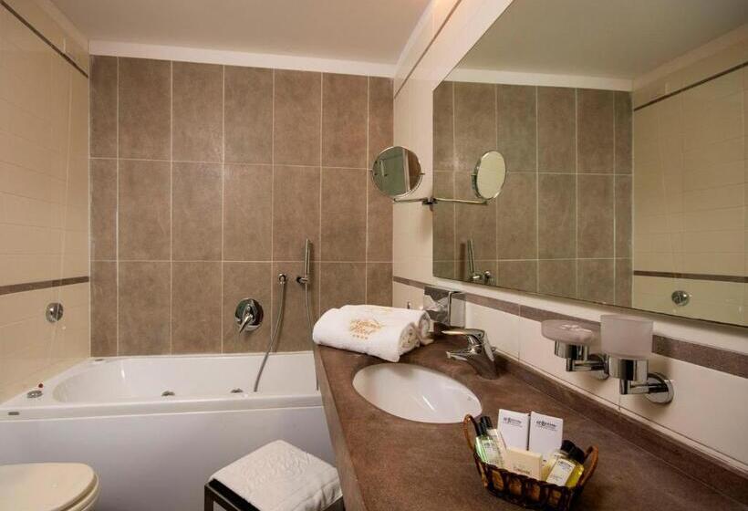 آپارتمان 1 خوابه, Villa Dei Gelsomini & National Hotel Dal 1903