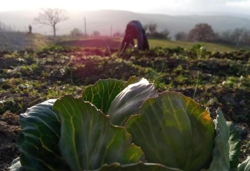חדר אקונומי, Agriturismo Costa San Bernardo