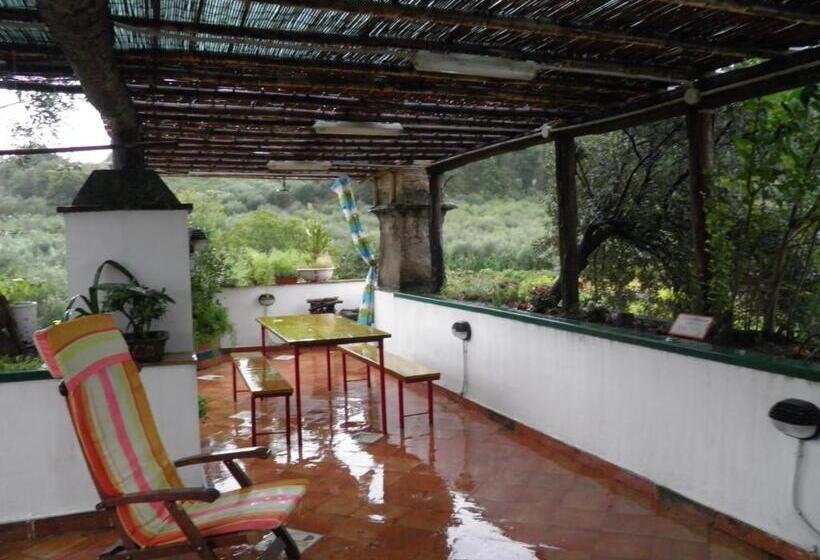 חדר קלאסי לשלושה, Masseria Sparano