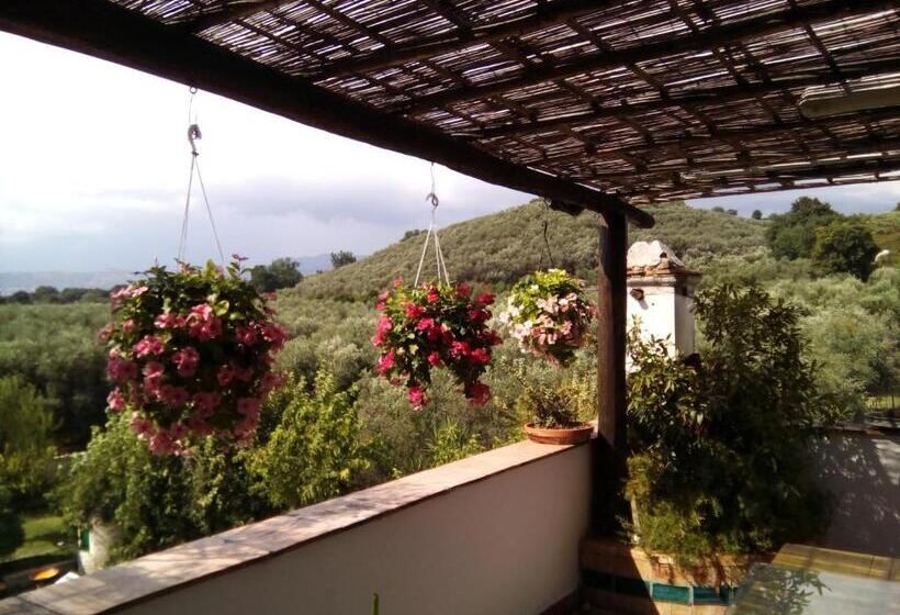 דירת חדר סופריור, Masseria Sparano