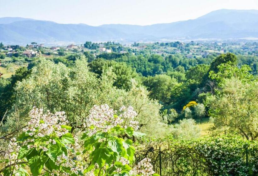 デラックスルーム, La Quiete