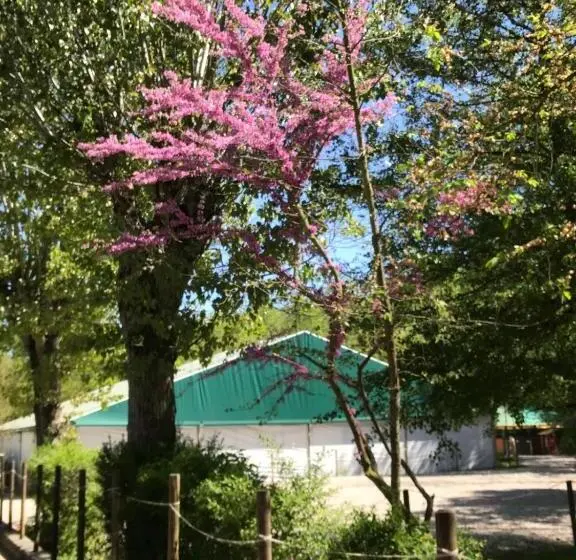 デラックスルーム, Relais Cà Del Rio