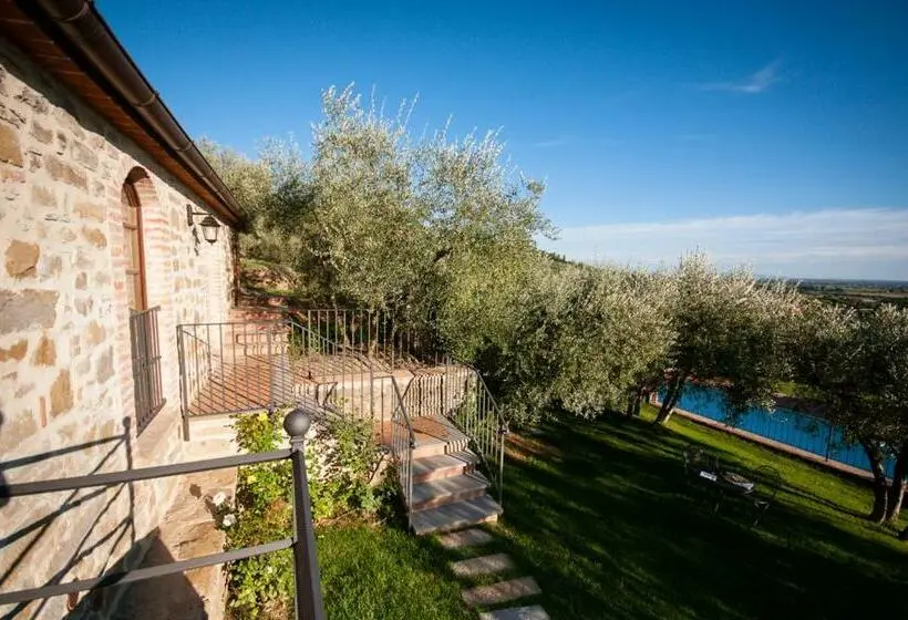 プールの見えるスーペリアルーム, Agriturismo Borgo Tra Gli Olivi