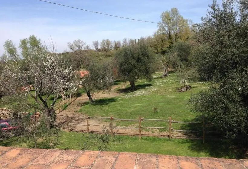 スタンダードルーム, Antico Casale Pozzuolo