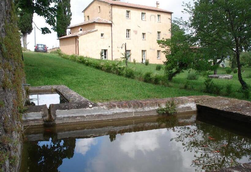 דירת חדר, La Fonte Carducciana