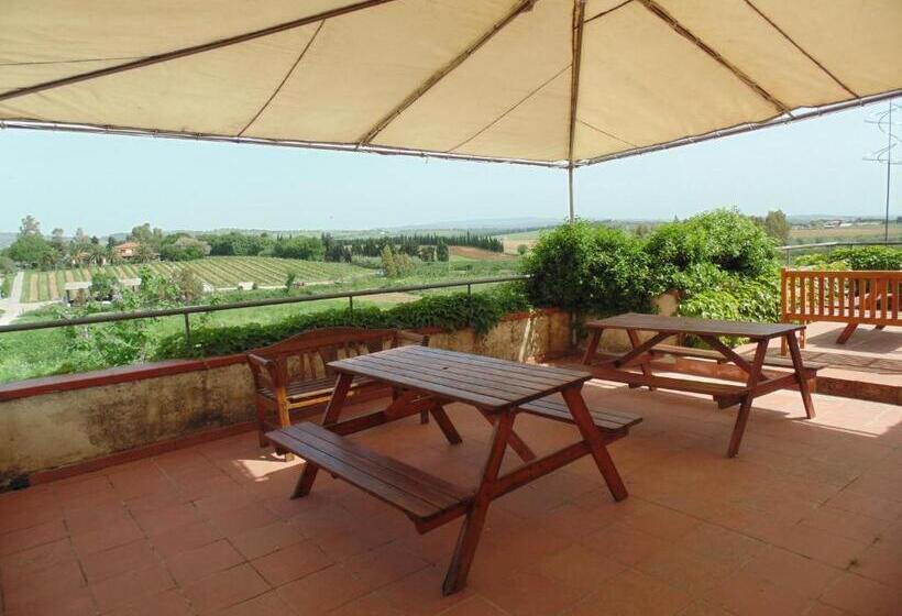 スタンダードシングルルーム, Laselva