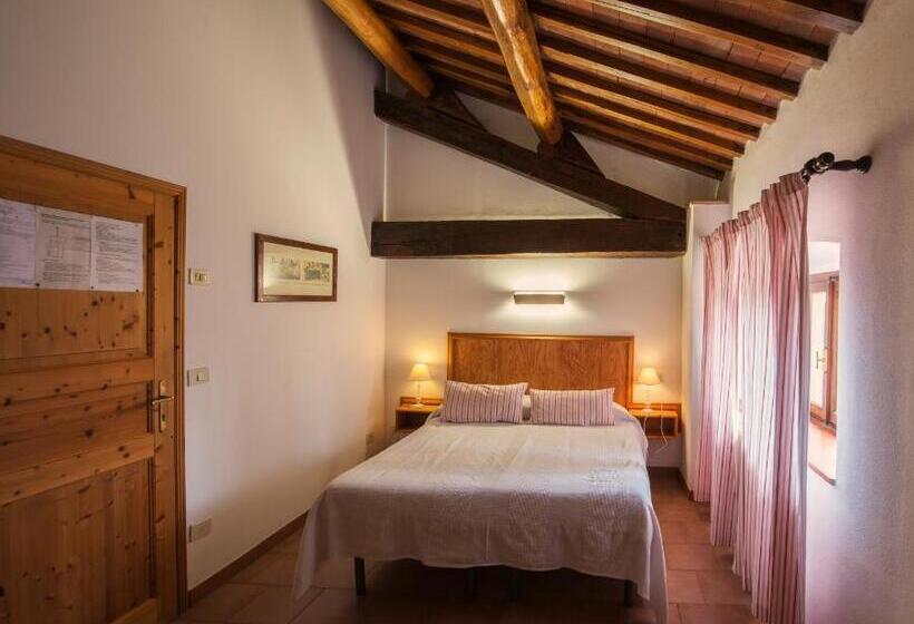 スタンダードルーム, Laselva