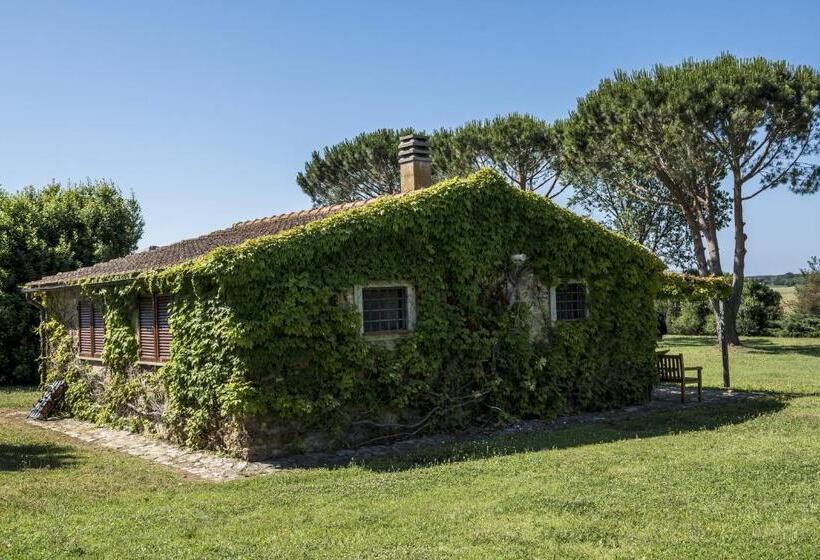 低层单卧公寓, Laselva