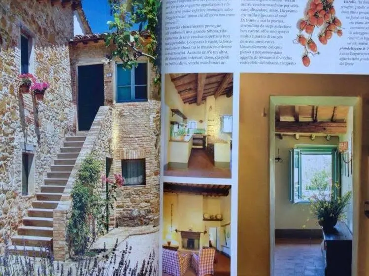 １ベッドルームアパートメント, Agriturismo Pian Del Tevere