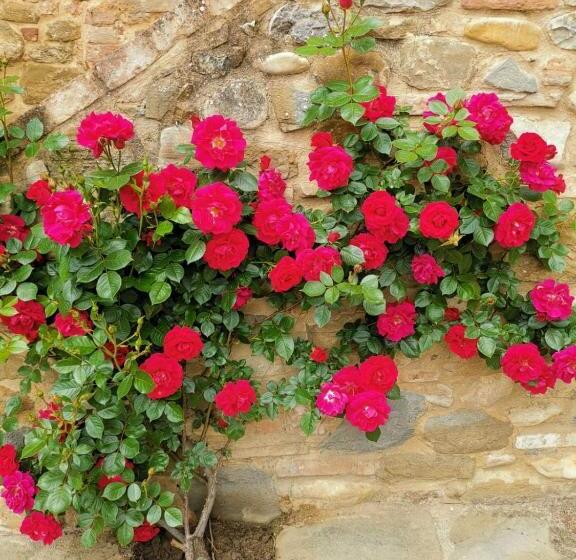 דירת חדר, Agriturismo Pian Del Tevere