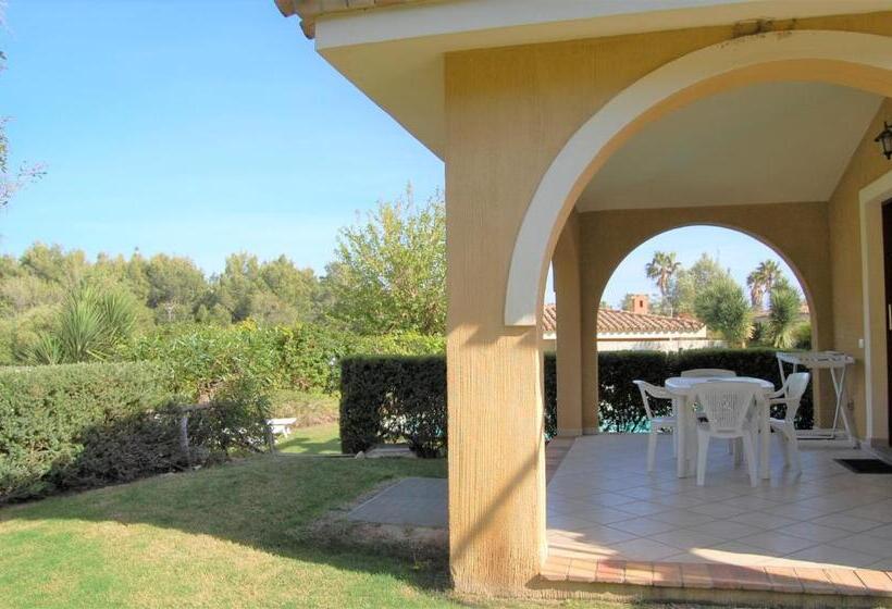 استودیوی استاندارد, I Lentischi