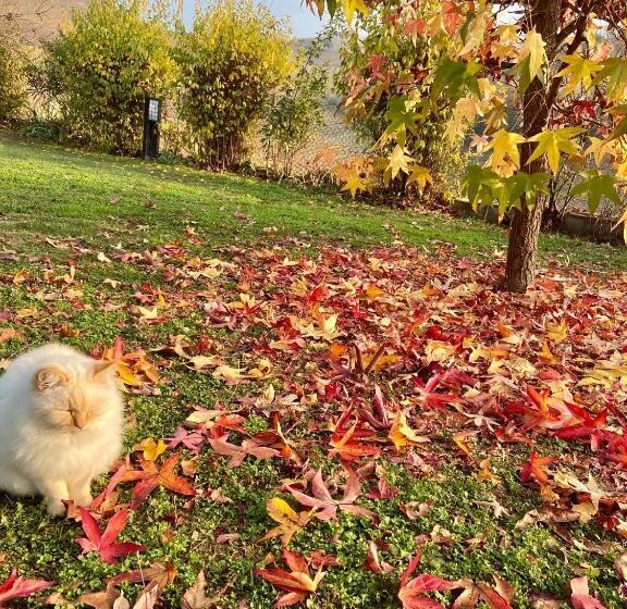 דירת שני חדרים עם מרפת, Residence Delle Rose